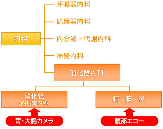 内視鏡内科