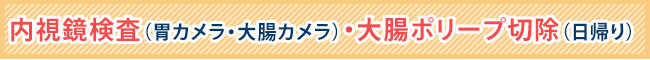 内視鏡検査（胃カメラ・大腸カメラ）・大腸ポリープ切除（日帰り）