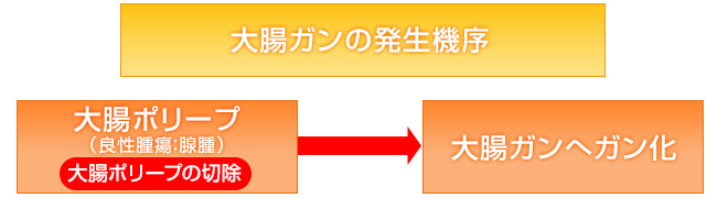 ポリープ 切除 大腸